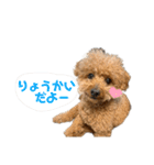 毎日使える！がーくんスタンプ（個別スタンプ：3）