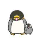 ぺんぺぎん（個別スタンプ：37）
