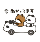 どっちもパンダ！！ 春 ゴールデンウィーク（個別スタンプ：33）
