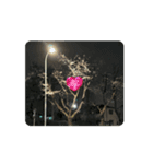 狛江の風景（桜の季節）（個別スタンプ：3）