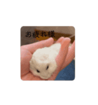 あたいのハムスターver2（個別スタンプ：4）