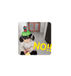 いつきちゃんのスタンプ2周年（個別スタンプ：1）