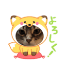 シフォンちゃん❤️（個別スタンプ：1）