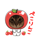 シフォンちゃん❤️（個別スタンプ：3）