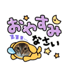 シフォンちゃん❤️（個別スタンプ：5）