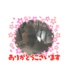 シフォンちゃん❤️（個別スタンプ：10）