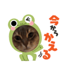 シフォンちゃん❤️（個別スタンプ：15）
