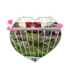 小さな日本のある家庭の庭（個別スタンプ：1）