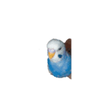 ピーち（個別スタンプ：6）