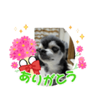 ニカですよろしくです。（個別スタンプ：4）