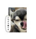 ニカですよろしくです。（個別スタンプ：8）