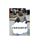 ニカですよろしくです。（個別スタンプ：9）