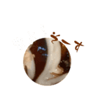 たこやきっ！（個別スタンプ：5）