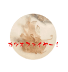 たこやきっ！（個別スタンプ：7）