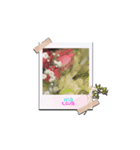 サスケすたんぷぅ（個別スタンプ：4）