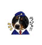 ジャックくんの日常！(バーニーズ)（個別スタンプ：8）