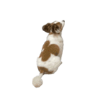 世界一可愛い犬3あーちゃん（個別スタンプ：9）