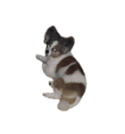 世界一可愛い犬3あーちゃん（個別スタンプ：11）