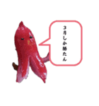 3月誕生日の人のスタンプ（個別スタンプ：1）