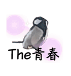 3月誕生日の人のスタンプ（個別スタンプ：6）