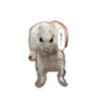 あたいのハム太郎（個別スタンプ：4）