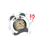 ぼたんのスタンプ✯（個別スタンプ：4）