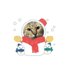 ぼたんのスタンプ✯（個別スタンプ：7）