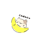 ねこにゃん 茶シロ（個別スタンプ：4）