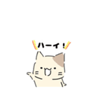 ねこにゃん 茶シロ（個別スタンプ：6）