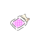 ねこにゃん 茶シロ（個別スタンプ：8）