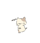 ねこにゃん 茶シロ（個別スタンプ：9）