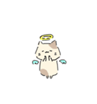 ねこにゃん 茶シロ（個別スタンプ：11）