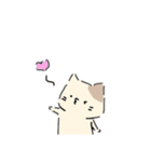ねこにゃん 茶シロ（個別スタンプ：12）