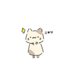 ねこにゃん 茶シロ（個別スタンプ：17）