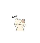 ねこにゃん 茶シロ（個別スタンプ：19）