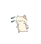 ねこにゃん 茶シロ（個別スタンプ：20）
