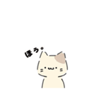 ねこにゃん 茶シロ（個別スタンプ：23）