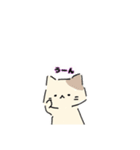ねこにゃん 茶シロ（個別スタンプ：27）