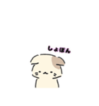 ねこにゃん 茶シロ（個別スタンプ：28）