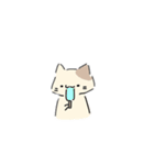 ねこにゃん 茶シロ（個別スタンプ：30）