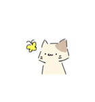 ねこにゃん 茶シロ（個別スタンプ：33）