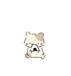 ねこにゃん 茶シロ（個別スタンプ：34）