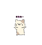 ねこにゃん 茶シロ（個別スタンプ：36）