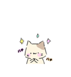 ねこにゃん 茶シロ（個別スタンプ：40）
