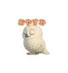 白フクロウのスタンプ（個別スタンプ：7）