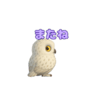 白フクロウのスタンプ（個別スタンプ：15）