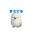 白フクロウのスタンプ（個別スタンプ：29）