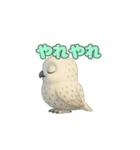 白フクロウのスタンプ（個別スタンプ：34）