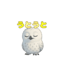 白フクロウのスタンプ（個別スタンプ：37）