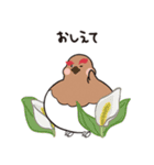 ルリモンとらいドン2（個別スタンプ：4）